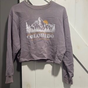 Hollister Gray Crop Graphic Crewneck